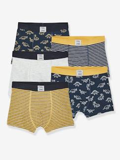 Niño-Ropa interior-Pack de 5 boxers stretch para niño Dino