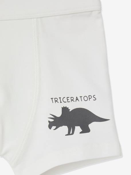 Pack de 7 boxers stretch Dinosaurios, para niño BLANCO CLARO LISO 