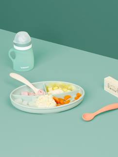 Kit para comida silicona BABYMOOV Grow'Isy