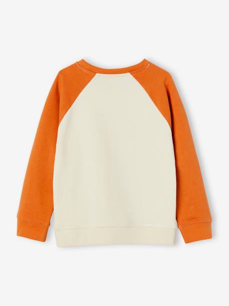 Sudadera 'cool surf' con efecto colorblock para niño multicolor 