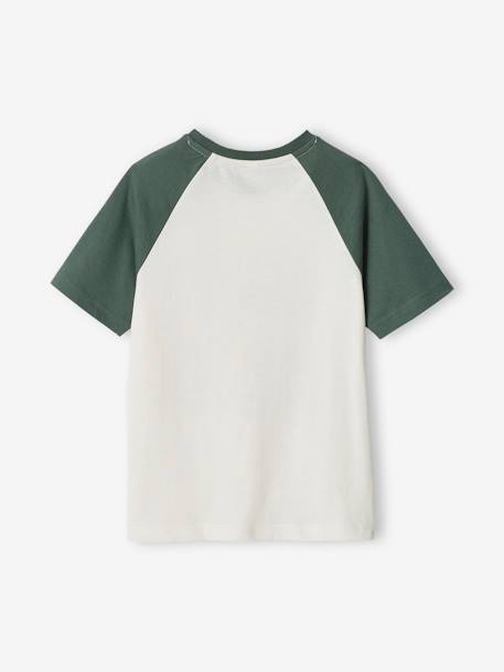 Camiseta con motivo gráfico y mangas raglán para niño azul+verde sauce 