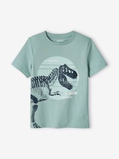 OEKO-TEX®-Niño-Camisetas y polos-Camisetas-Camiseta con dinosaurio gigante, para niño