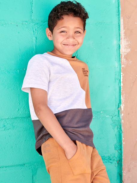 Camiseta colorblock de manga corta para niño gris jaspeado+verde agua 