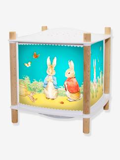 Textil Hogar y Decoración-Decoración-Iluminación-Lámpara de noche y linterna «Revolución» - Peter Rabbit- TROUSSELIER