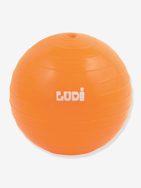 3 pelotas sensoriales - LUDI multicolor 