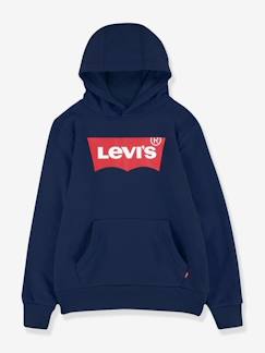 Niño-Sudadera con capucha Levi's® Batwing Screenprint