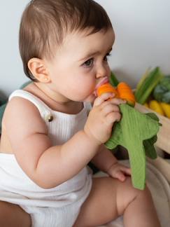 Juguetes- Primera edad- Primeras manipulaciones-Cathy the Carrot Mini Doudou-Teether - OLI & CAROL