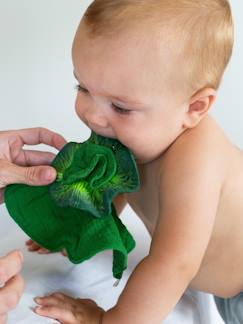 -Kendall the Kale Mini Doudou-Teether - OLI & CAROL