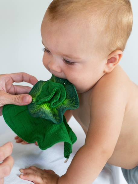 Kendall the Kale Mini Doudou-Teether - OLI & CAROL verde 