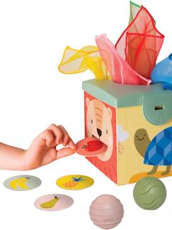 Juguetes- Primera edad- Primeras manipulaciones-Caja mágica - TAF TOYS