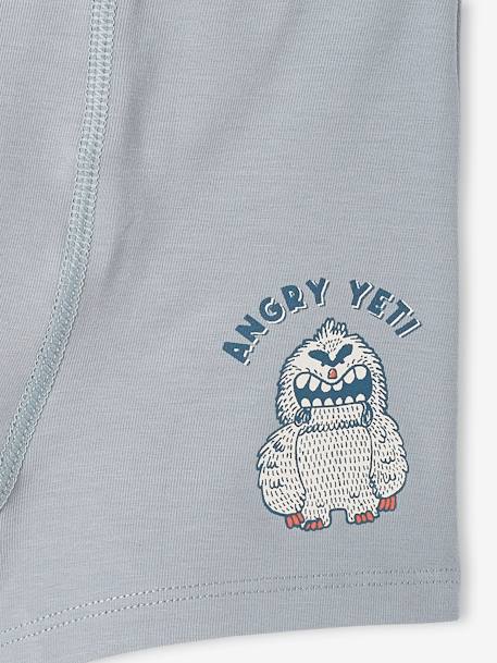 Pack de 5 bóxers stretch «Yeti» para niño azul grisáceo 