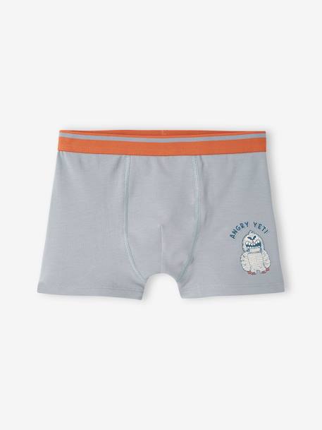 Pack de 5 bóxers stretch «Yeti» para niño azul grisáceo 