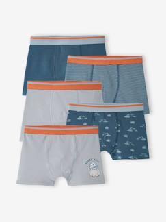 Niño-Ropa interior-Slips y bóxers-Pack de 5 bóxers stretch «Yeti» para niño