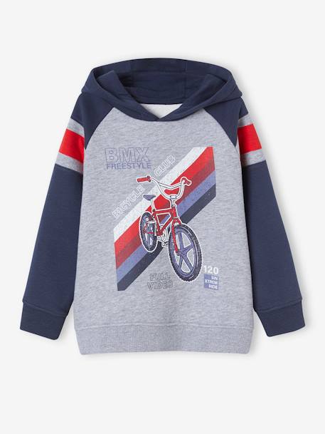 Sudadera con capucha, motivo gráfico y mangas raglán para niño azul oscuro+nuez de pacana+verde inglés 