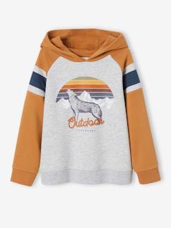 Niño-Jerséis, chaquetas de punto, sudaderas-Sudaderas-Sudadera con capucha, motivo gráfico y mangas raglán para niño