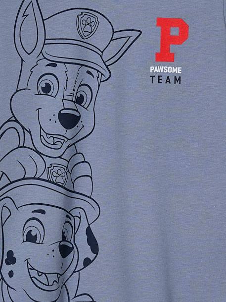 Camiseta Patrulla Canina® para niño azul pizarra 