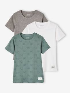 Niño-Ropa interior-Pack de 3 camisetas de punto de canalé de manga corta «Oso» para niño