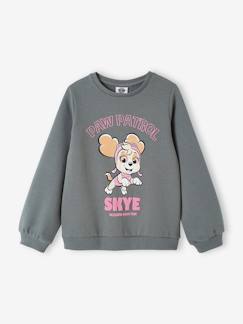 Niña-Jerséis, chaquetas de punto, sudaderas-Sudaderas-Sudadera Patrulla Canina® para niña