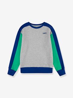 Niño-Jerséis, chaquetas de punto, sudaderas-Sudadera logo Levi's® colorblock