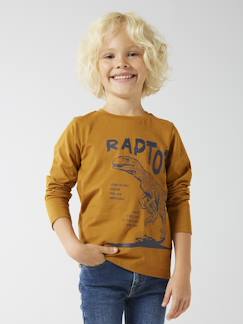 Niño-Camisetas y polos-Camisetas-Camiseta de manga larga con estampado para niño - Basics