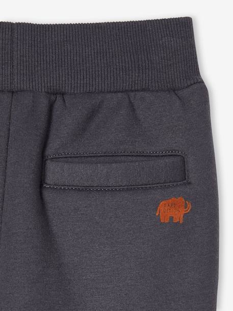 Pantalón jogging de felpa con forro de sherpa para niño gris oscuro 