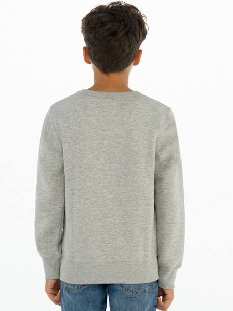 Sudadera Levi's® Batwing Crewneck gris 