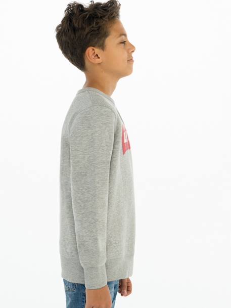 Sudadera Levi's® Batwing Crewneck gris 