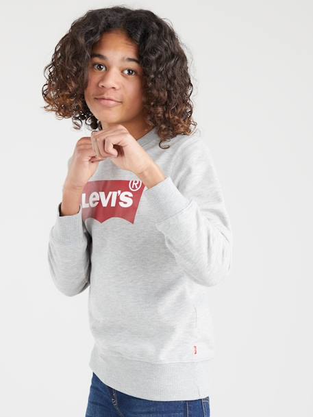 Sudadera Levi's® Batwing Crewneck gris 