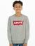 Sudadera Levi's® Batwing Crewneck gris 