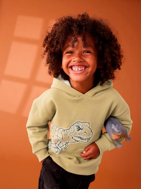 Sudadera con motivo dinosaurio y capucha con forro sherpa para niño aceituna 