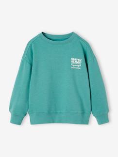 Niño-Jerséis, chaquetas de punto, sudaderas-Sudaderas-Sudadera con motivo en el pecho, para niño