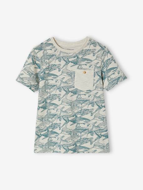 Camiseta de manga corta con motivos gráficos, para niño arcilla+blanco jaspeado+canela+gris oscuro+liquen+nuez de pacana 