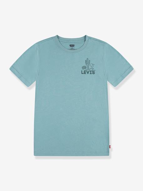 Camiseta Levi's® gráfica verde almendra 