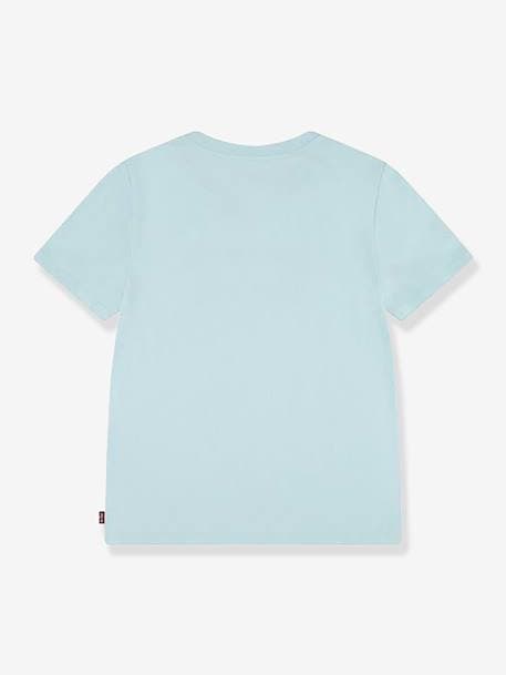 Camiseta Levi's® Batwing verde menta 