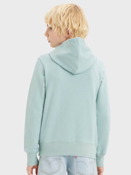 Sudadera con capucha LVB Mini Batwing Levi's® para bebé mostaza+verde almendra 