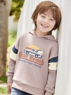 Niño-Jerséis, chaquetas de punto, sudaderas-Sudaderas-Sudadera con capucha motivo gráfico y con mangas colorblock para niño