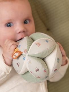 Juguetes-Pelota de agarre - LITTLE DUTCH