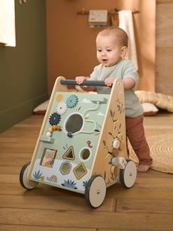 Juguetes-Carrito andador con frenos de madera FSC®