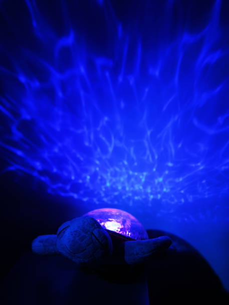Luz nocturna recargable CLOUD B Tranquil Turtle azul+rosado+verde+violeta 