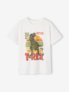 Niño-Camisetas y polos-Camiseta con estampado de dinosaurio para niño