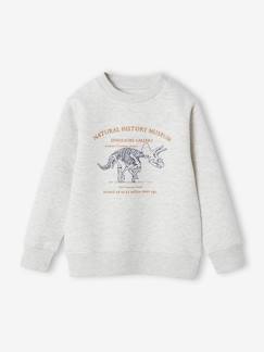 Ecorresponsables-Niño-Sudadera Basics con motivo gráfico para niño