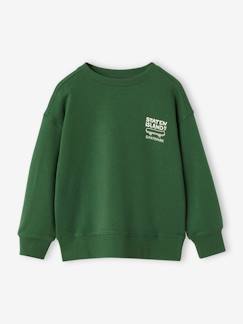 Niño-Jerséis, chaquetas de punto, sudaderas-Sudaderas-Sudadera con motivo en el pecho, para niño