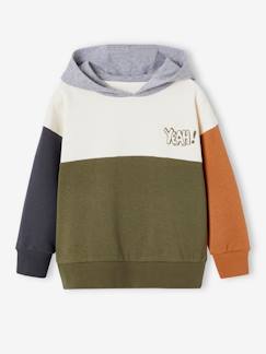 Niño-Jerséis, chaquetas de punto, sudaderas-Sudaderas-Sudadera con capucha colorblock, niño