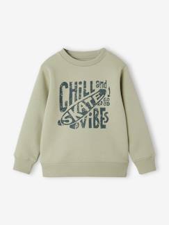 Niño-Jerséis, chaquetas de punto, sudaderas-Sudaderas-Sudadera Basics con motivo gráfico para niño