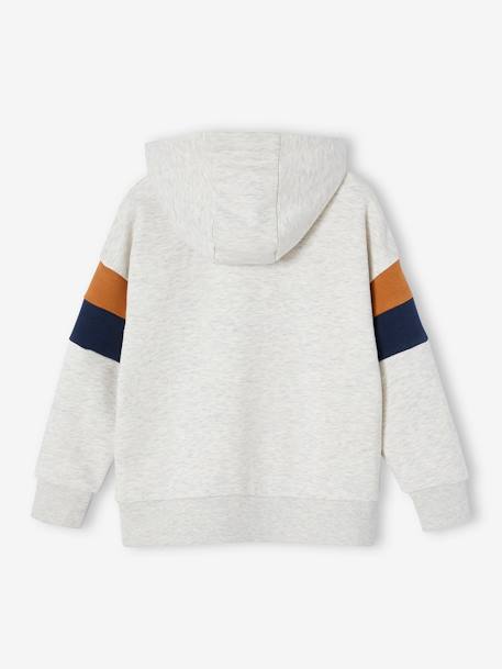 Sudadera con capucha motivo gráfico y con mangas colorblock para niño azul grisáceo+blanco jaspeado+liquen+malva 