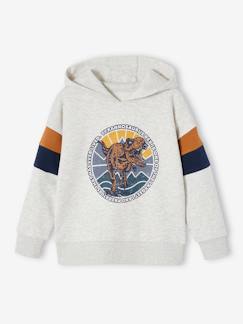 Niño-Sudadera con capucha motivo gráfico y con mangas colorblock para niño