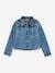 Cazadora vaquera Levi's® infantil stone 