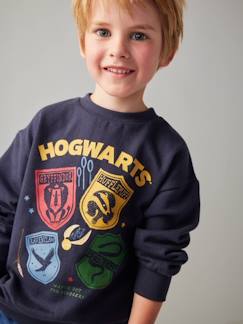 Niño-Jerséis, chaquetas de punto, sudaderas-Sudadera infantil Harry Potter® Escudos