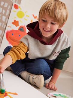 Niño-Jerséis, chaquetas de punto, sudaderas-Sudaderas-Sudadera con capucha colorblock, niño