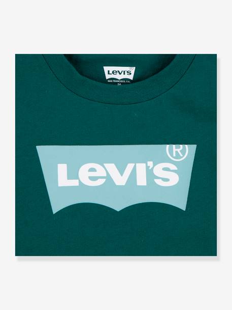 Camiseta Batwing LEVI'S® infantil verde pino 